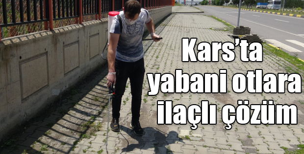 Karsta yabani otlara ilaçlı çözüm