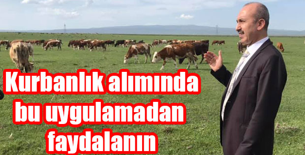 KURBANLIK ALIMINDA HAYSAG UYGULAMASINI KULLANIN