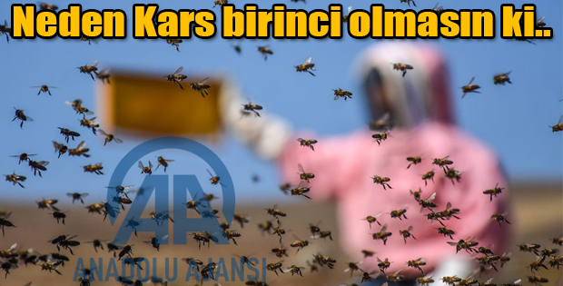 NEDEN KARS BİRİNCİ OLMASIN Kİ..