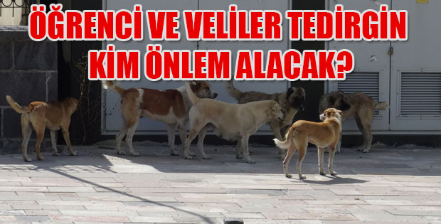 Örenci ve Veliler tedirgin 