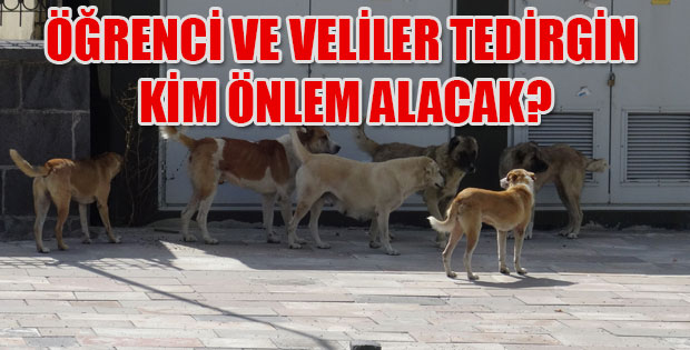 Örenci ve Veliler tedirgin 