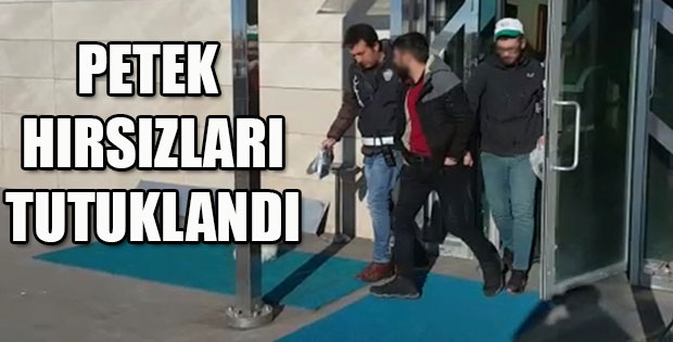 PETEK HIRSIZLARI TUTUKLANDI
