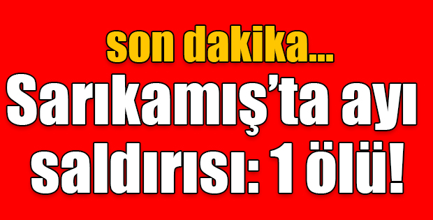 Sarıkamışta ayı saldırısı: 1 ölü!