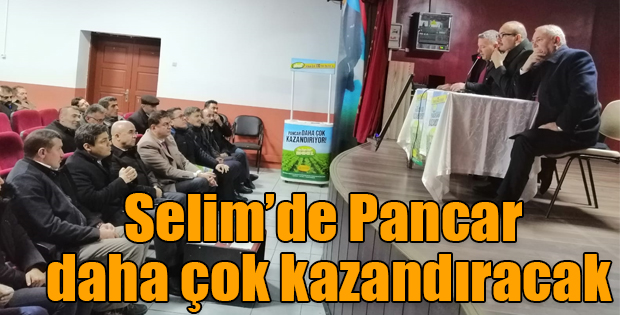 Selimde Pancar daha çok kazandıracak