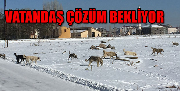 VATANDAŞ ÇÖZÜM BEKLİYOR!