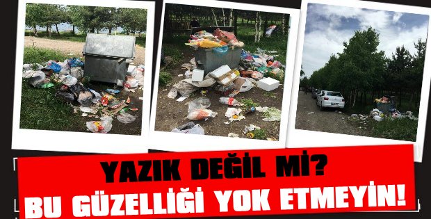 Yazık Değil mi? Bu Güzelliği Yok Etmeyin