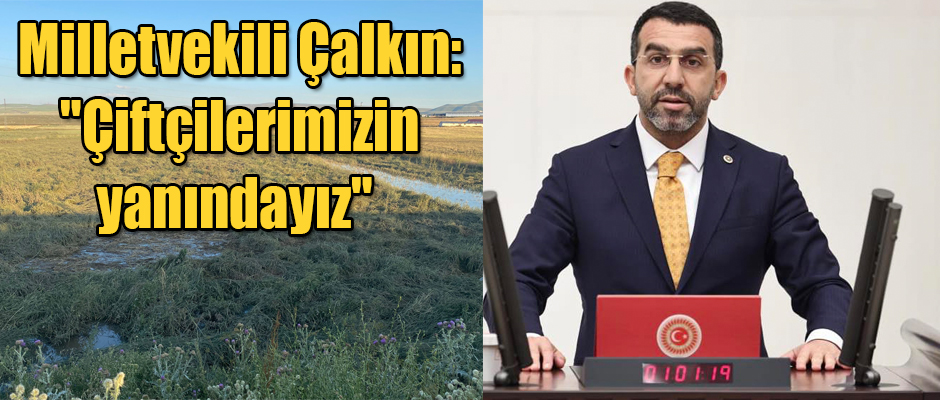 Milletvekili Çalkın: 