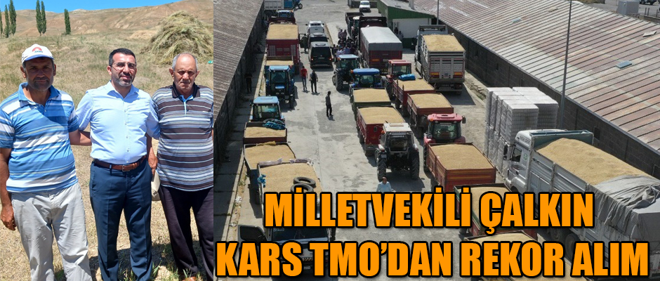 MİLLETVEKİLİ ÇALKIN 