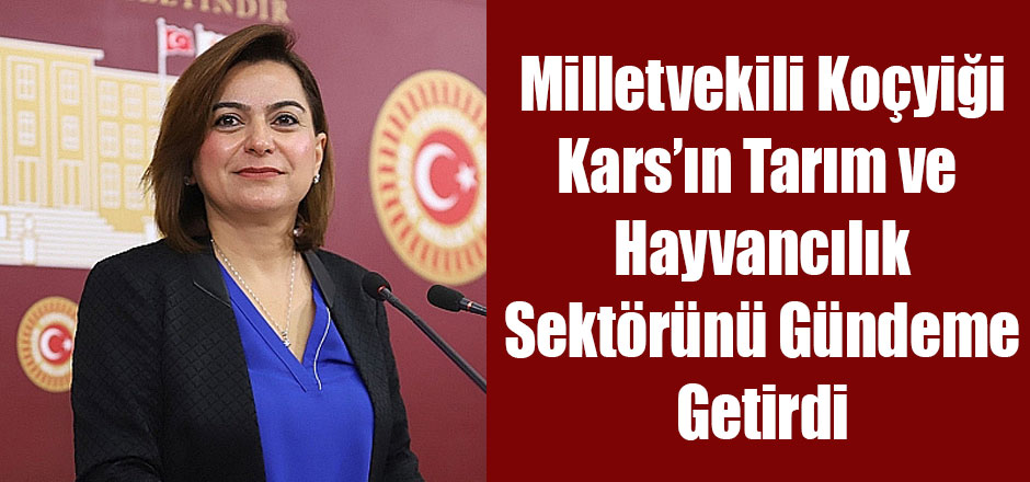 Milletvekili Koçyiğit Kars'ın Tarım ve Hayvancılık Sektörünü Gündeme Getirdi