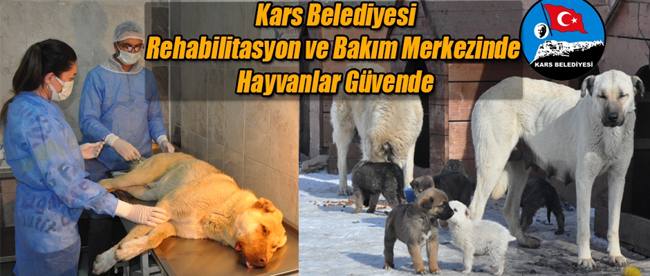 Onlar Rehabilitasyon ve Bakım Merkezinde Güvende