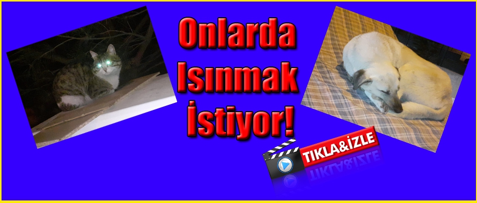 ONLARDA ISINMAK İSTİYOR!