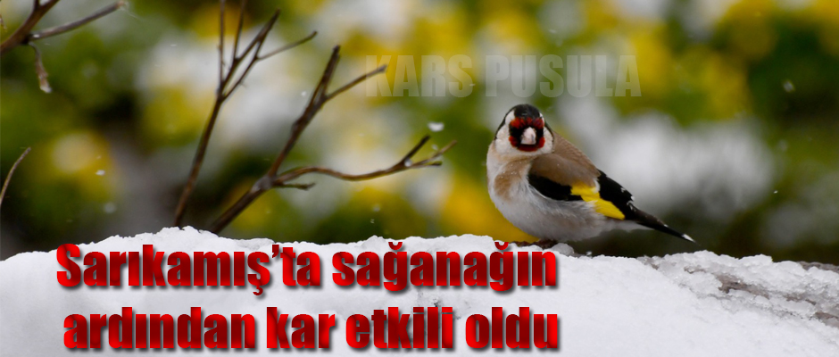 Sarıkamış’ta sağanağın ardından kar etkili oldu