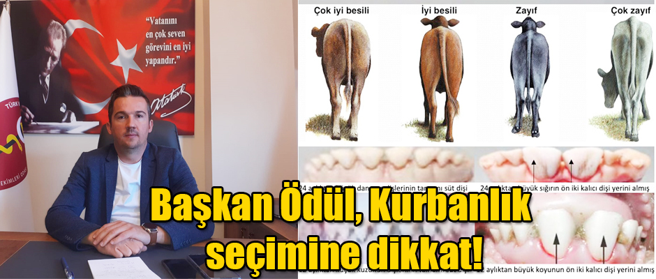 VHO Başkanı Ercan Ödül Kurbanlık Seçimine Dikkat Çekti