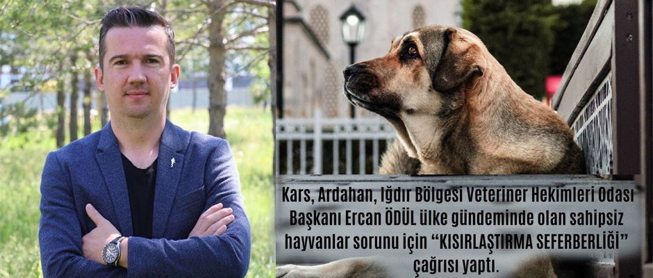 VHO Başkanı Ödül'den Kısırlaştırma Seferberliği Çağrısı.!