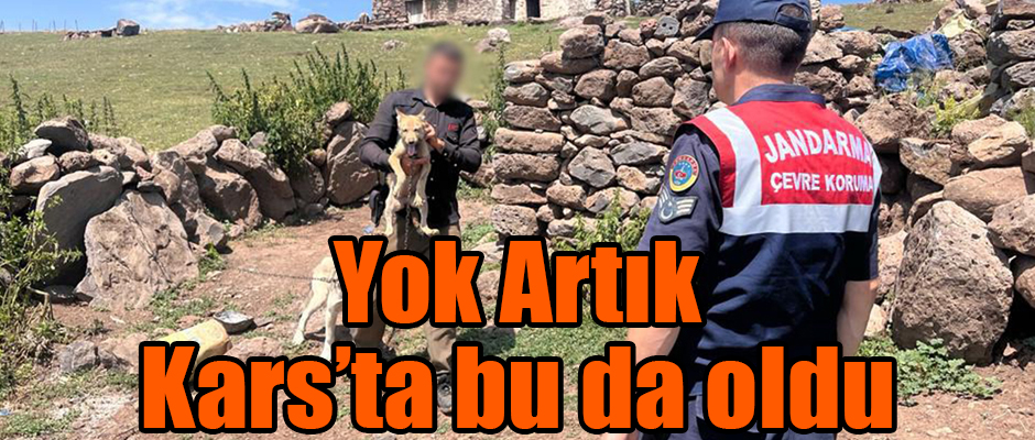 Yok Artık Kars'ta bu da oldu